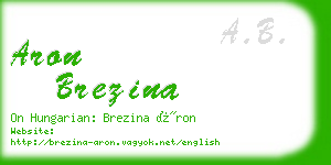 aron brezina business card